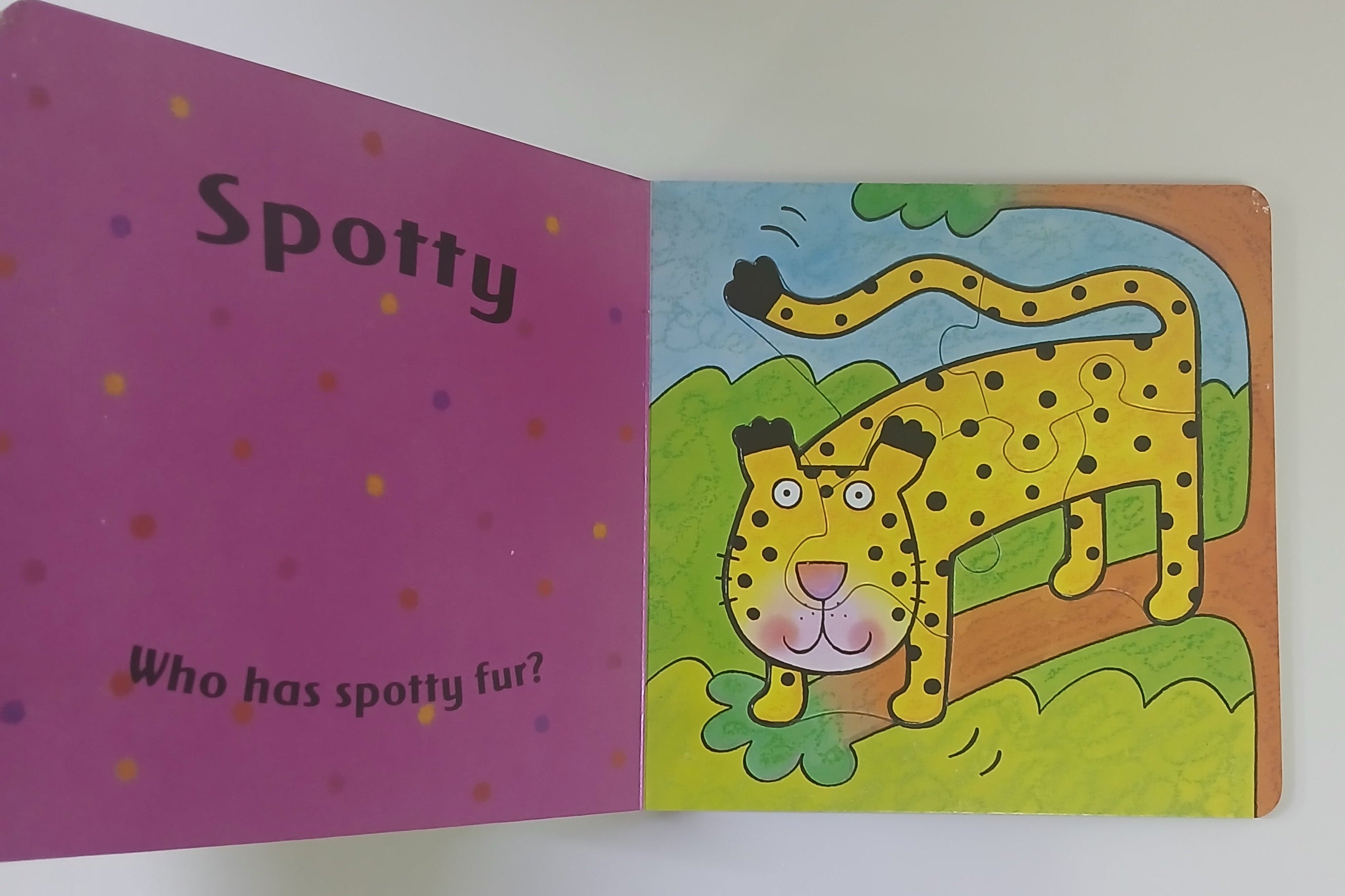 الدب يشعر بالخجل