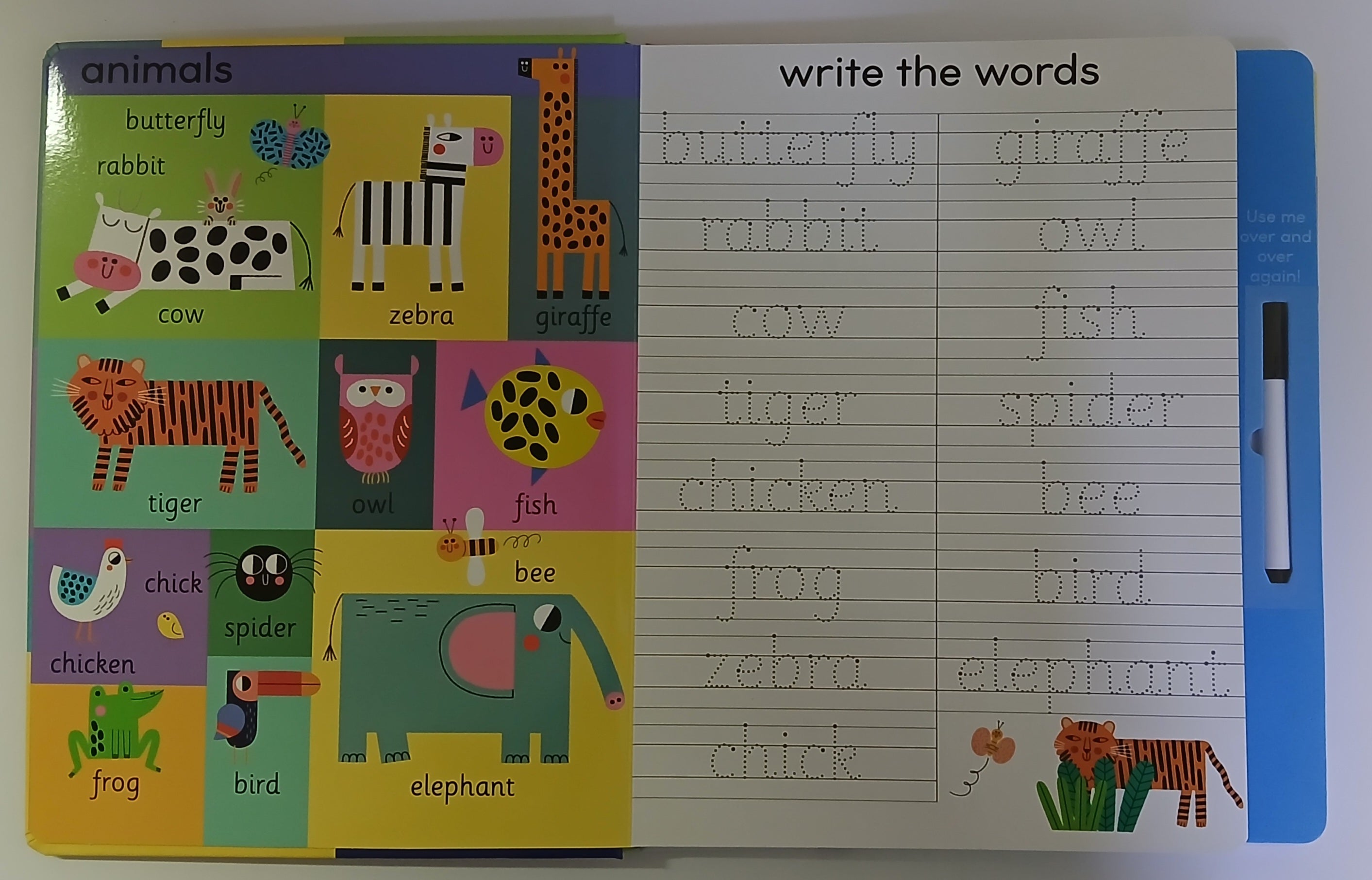 Write, Wipe, Repeat - 100 Words - Wipe Clean