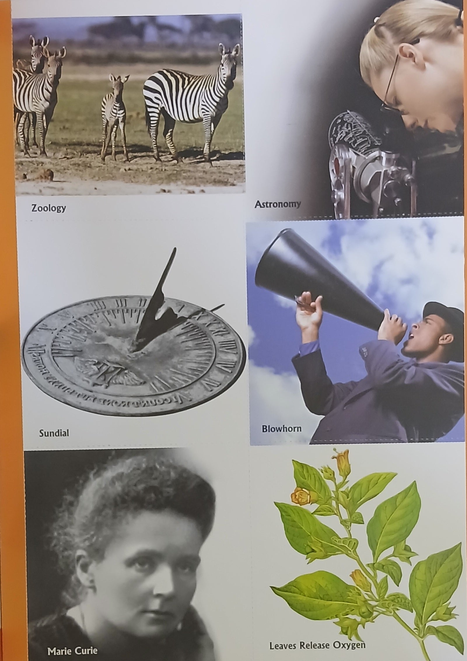 School Projects: Science - Handy Reference For Every Student! - اكتشاف القراءة والاكتشاف: عجائب العالم (اكتشاف الأطفال)