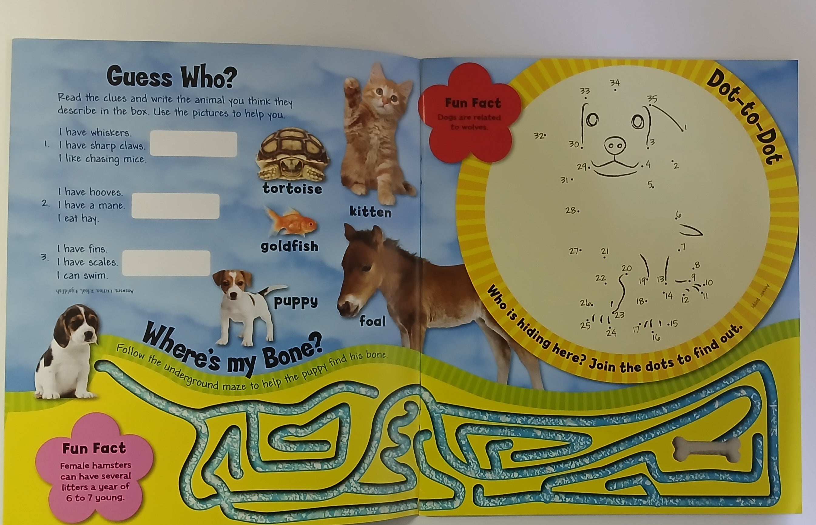 Baby Animals: Playful Pets - Sticker And  Activity Book