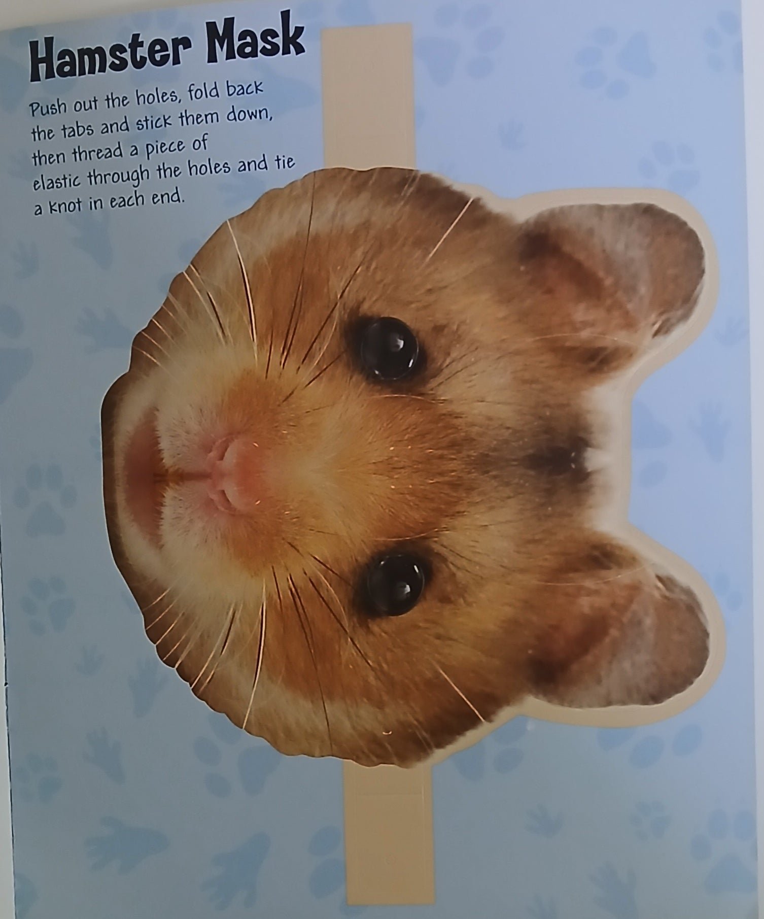 Baby Animals: Playful Pets - Sticker And  Activity Book