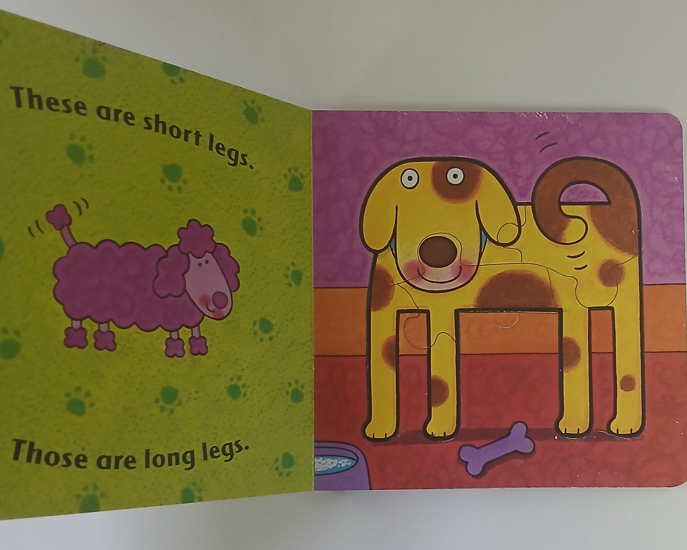 الدب يشعر بالخجل