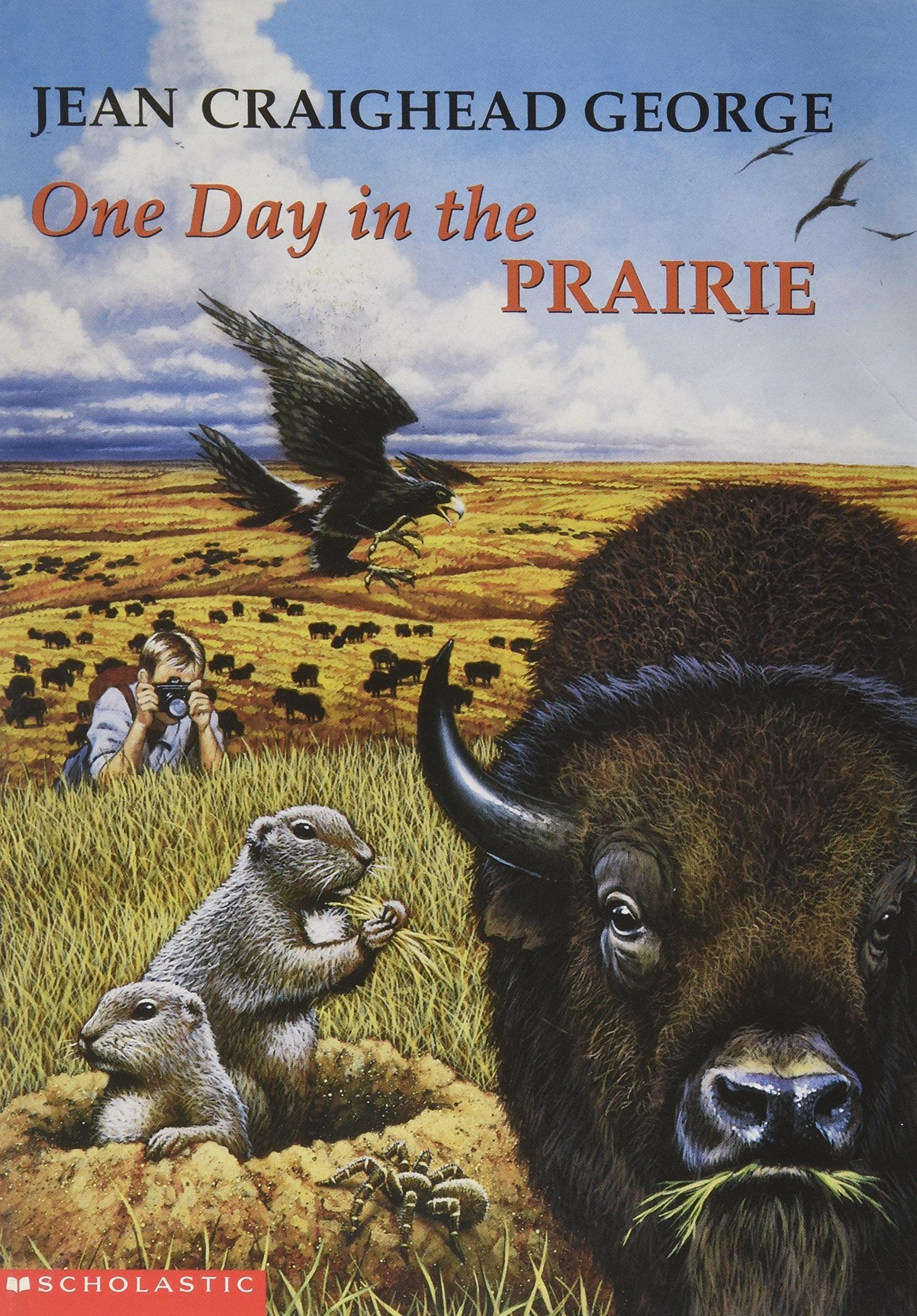 One Day in the Prairie - Spectrawide Bookstore