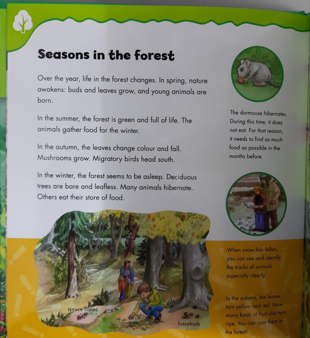 The Forest - With Wipe-Clean Pages! - Spectrawide Bookstore