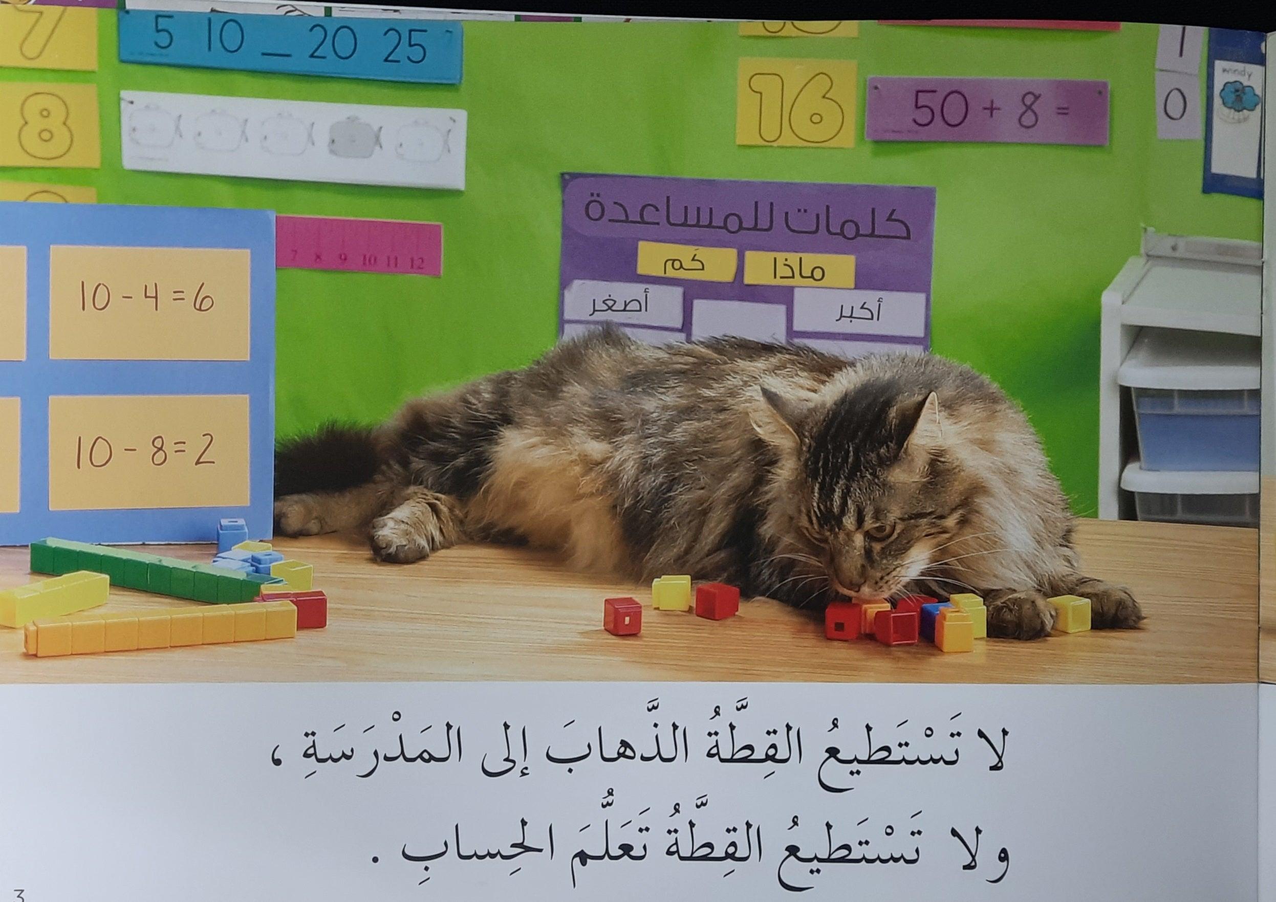 تعلم القراءةمَنْ يَسْتَطِيعُ الذَّهَابَ إلى المدرسة ؟ - Learn To Read Who Can Go To School - Arabic Story - Spectrawide Bookstore