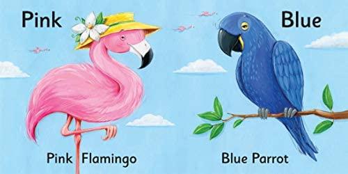 Animal Colors - Board Book - Spectrawide Bookstore