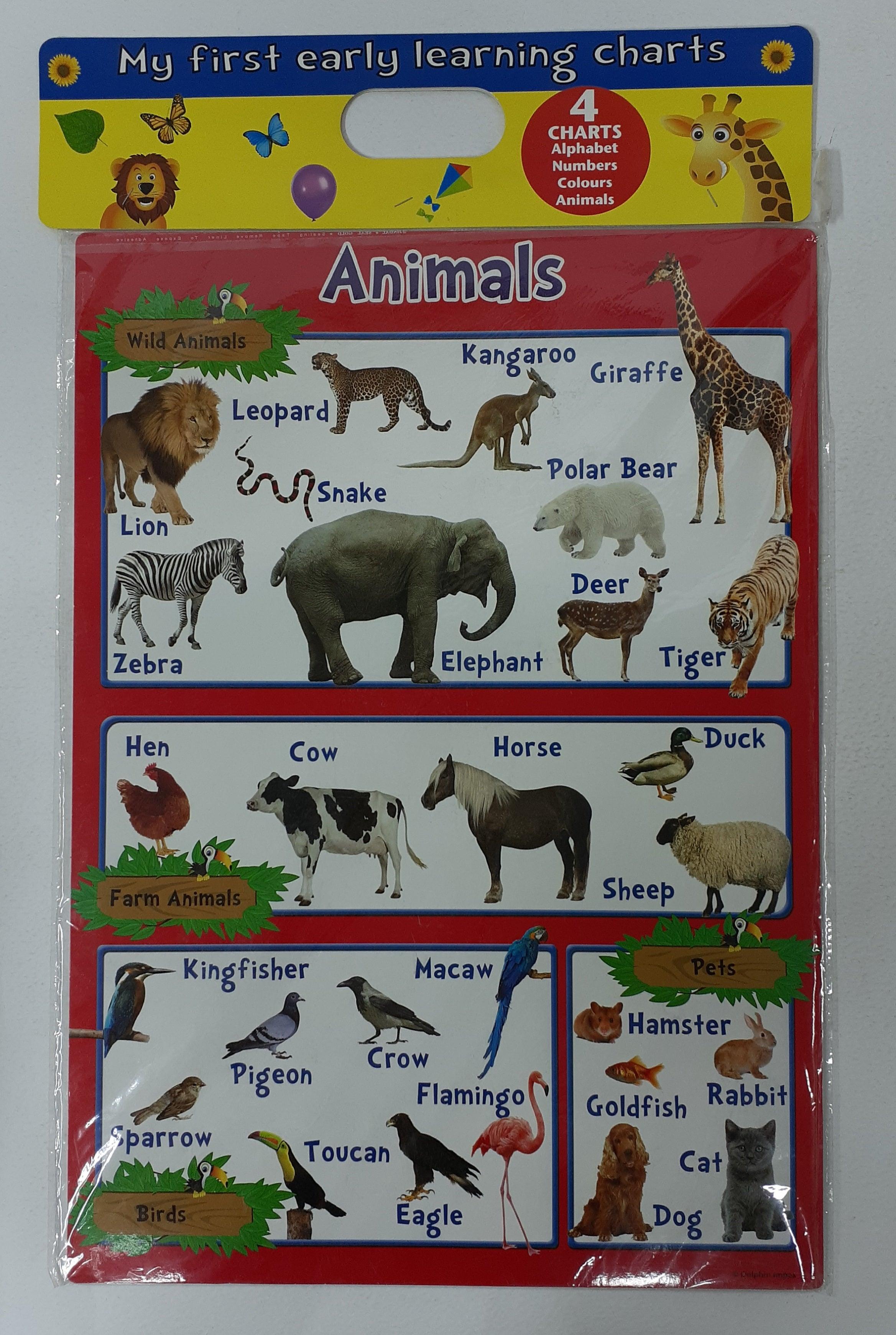 My First Early Learning Charts - 4 Charts Alphabet, Numbers, Colours and Animals - Spectrawide Bookstore