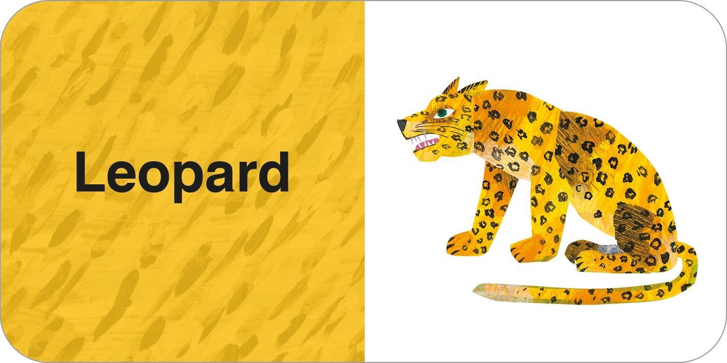 Eric Carle - Big Box of Little Books (9 mini books for little hands) - Spectrawide Bookstore