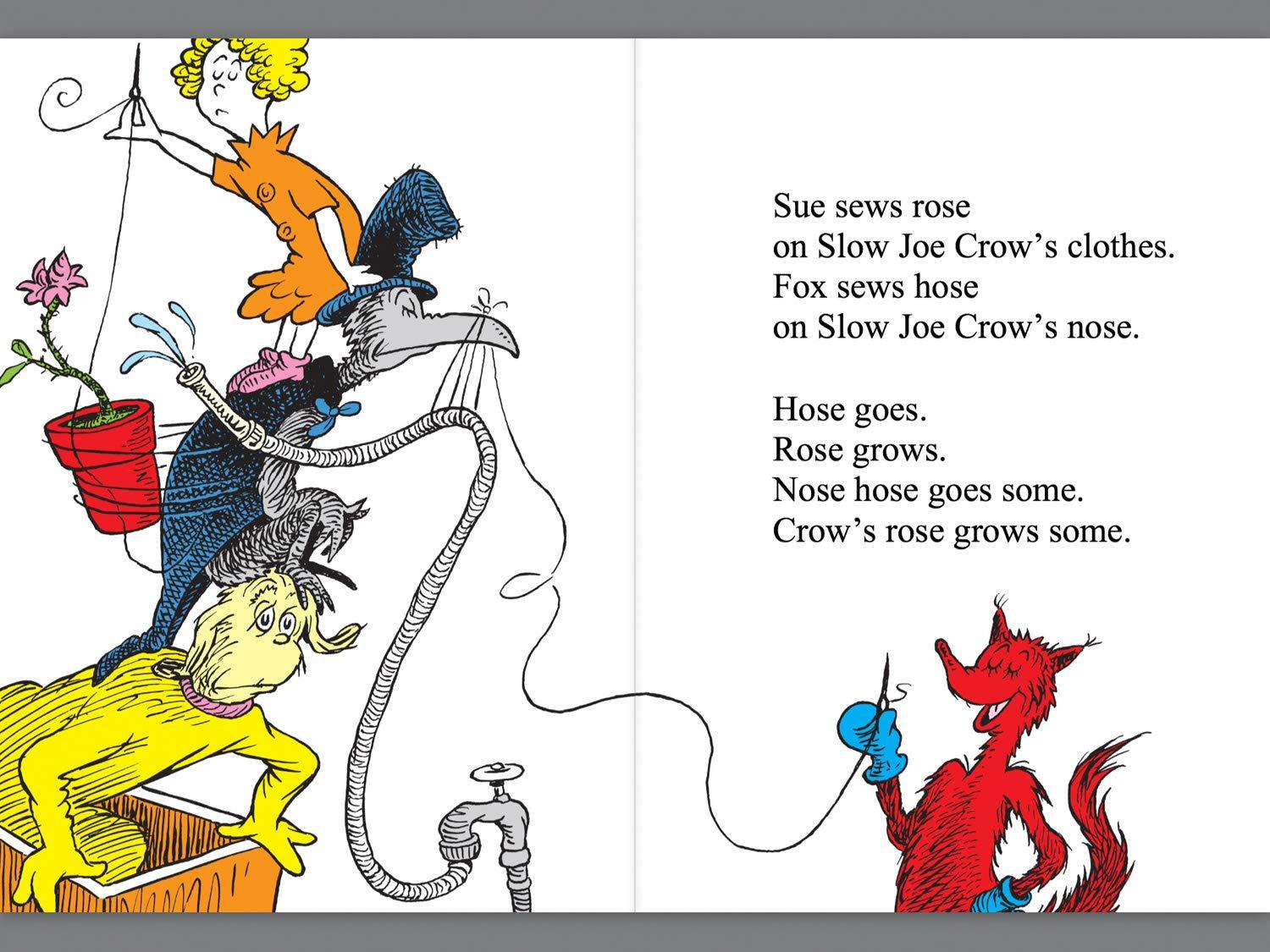 Dr. Seuss Makes Reading FUN! - FOX IN SOCKS - Spectrawide Bookstore