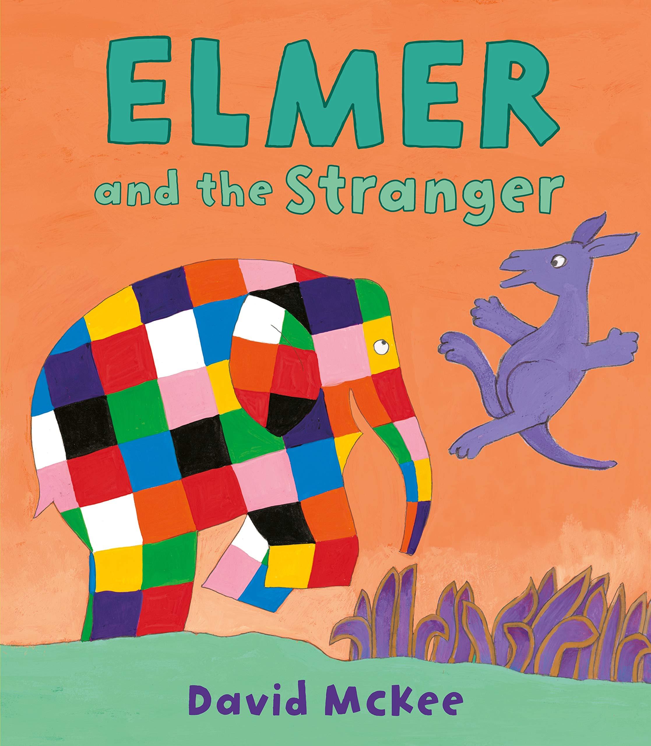 Elmer and the Stranger - Picture Book - Spectrawide Bookstore