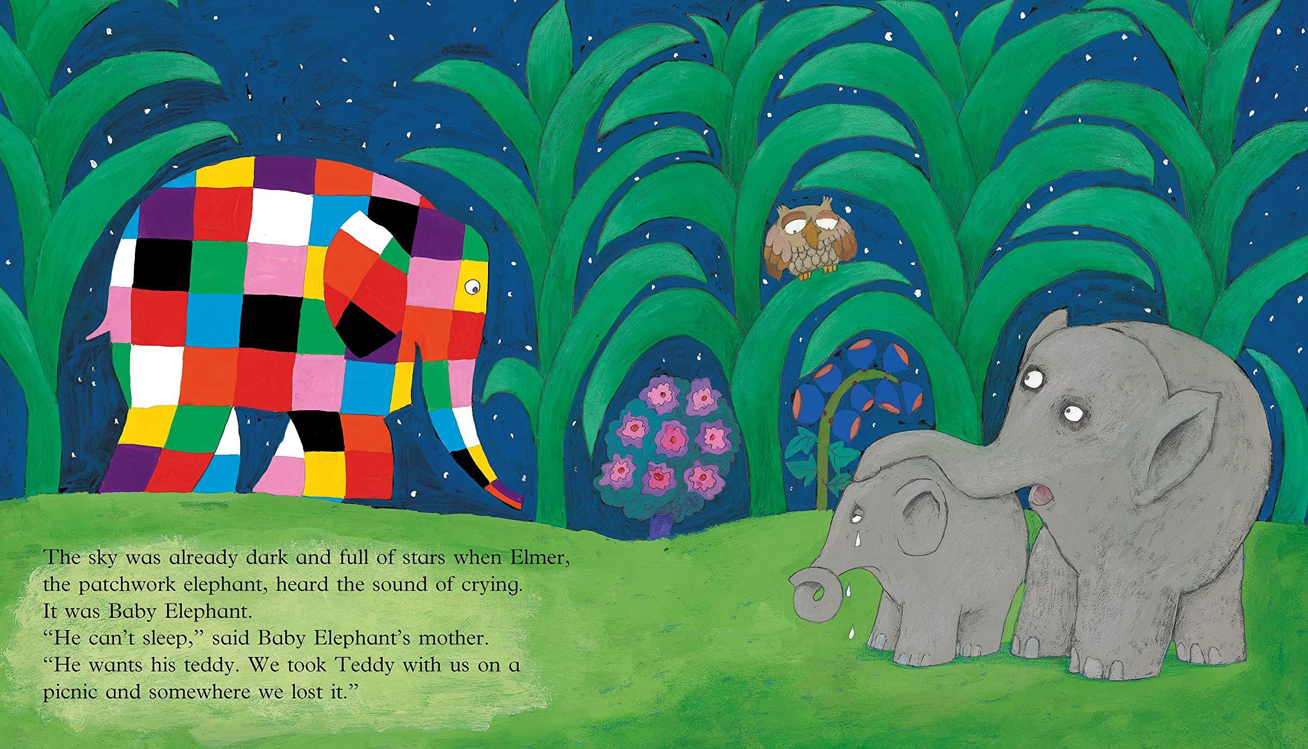 Elmer and the Lost Teddy - Picture Book - Spectrawide Bookstore