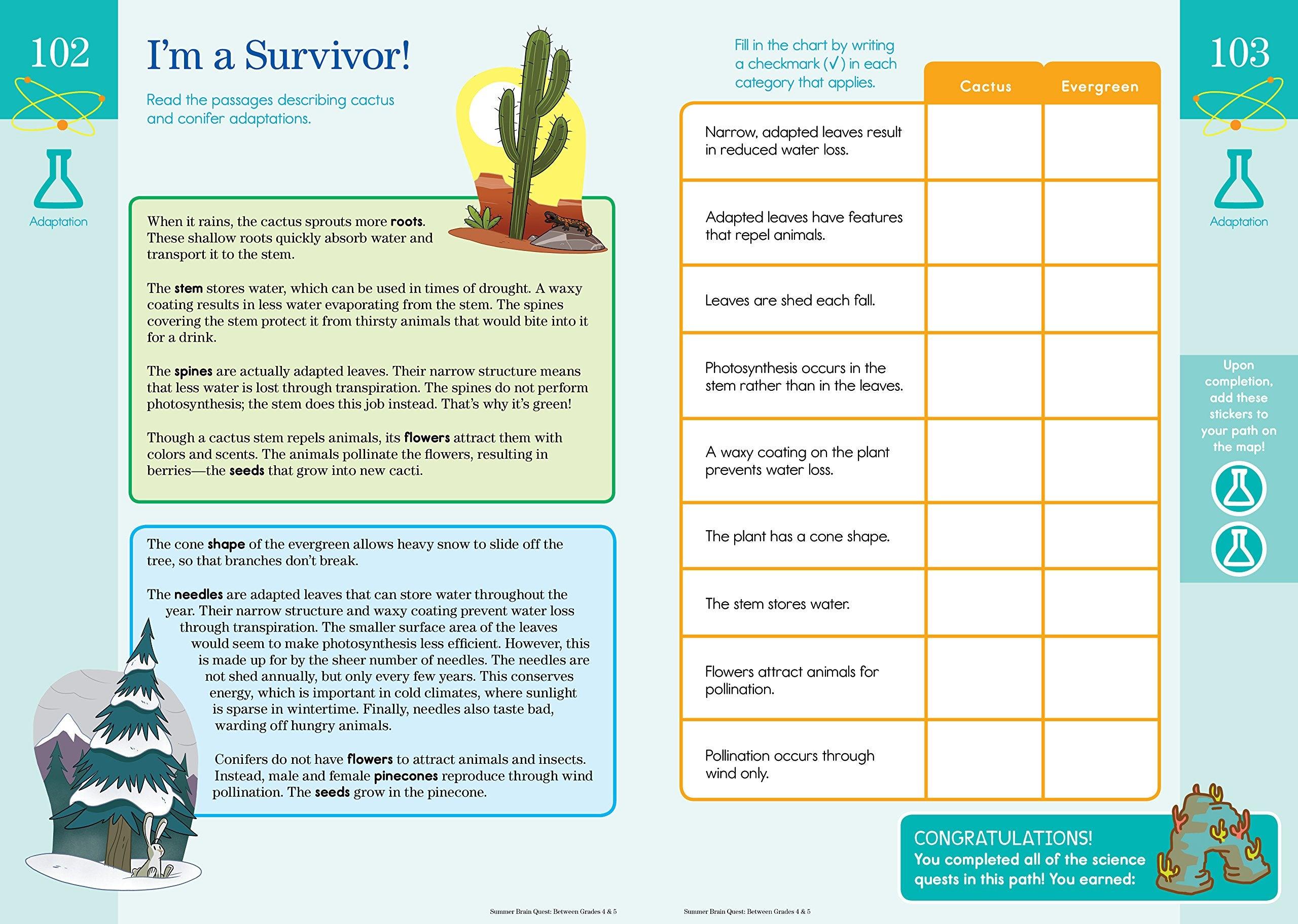 Summer Brain Quest: Between Grades 4 & 5 - Spectrawide Bookstore