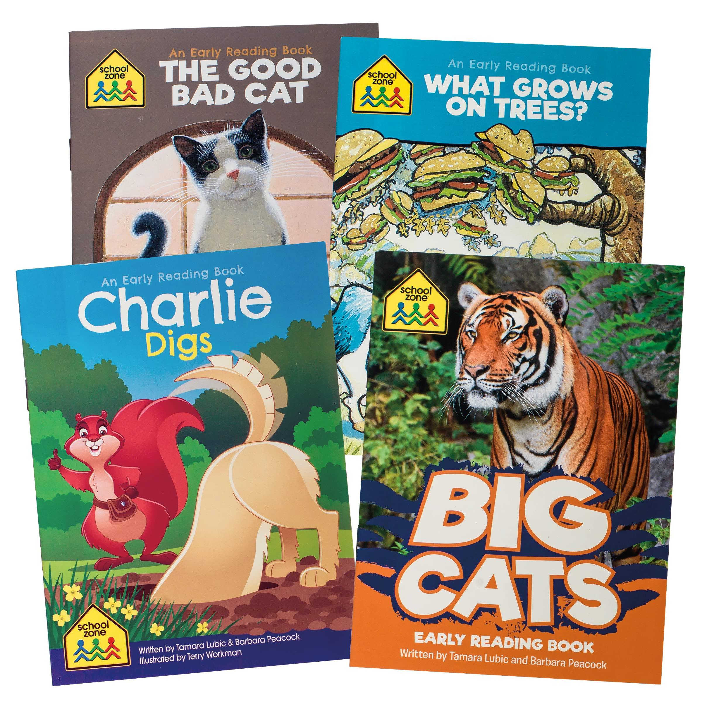 School Zone - Preschool Full Learning Program - Boxset Age 3-5 - Spectrawide Bookstore