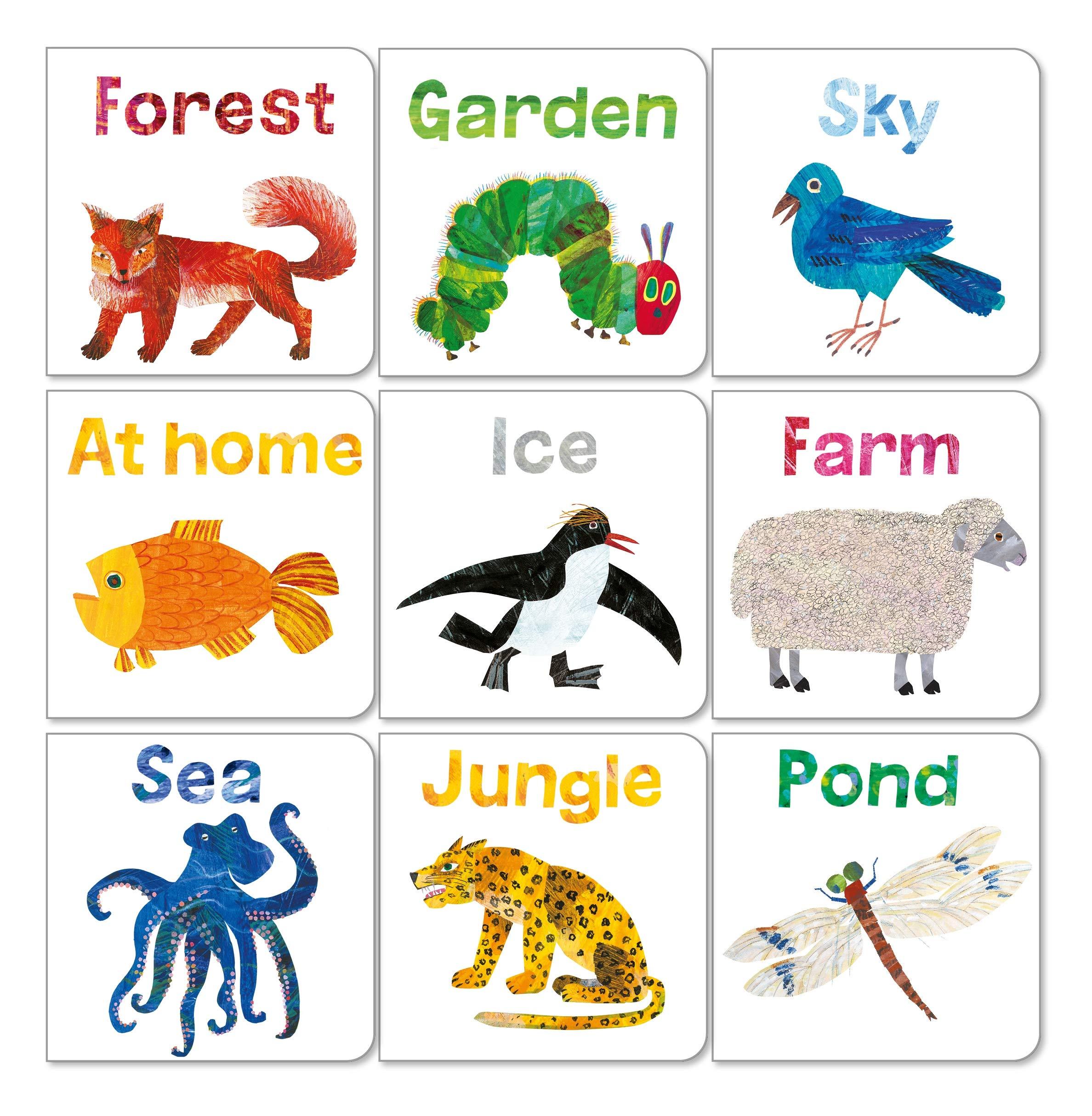 Eric Carle - Big Box of Little Books (9 mini books for little hands) - Spectrawide Bookstore