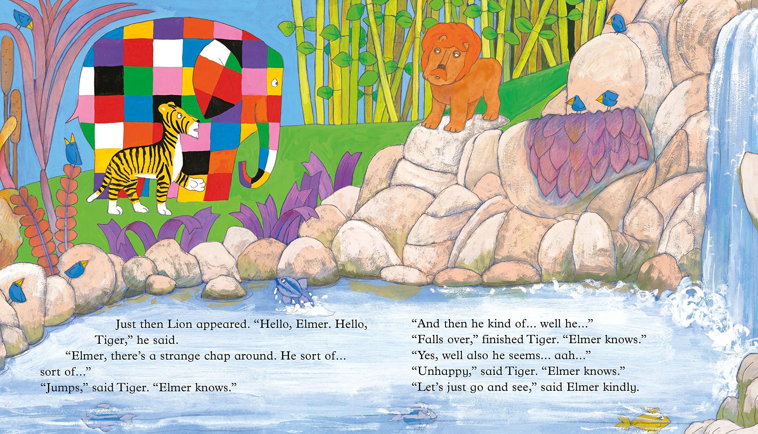 Elmer and the Stranger - Picture Book - Spectrawide Bookstore