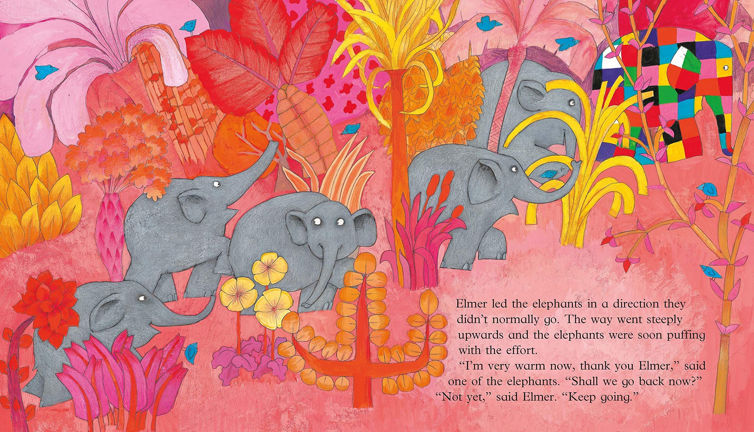 Elmer in the Snow - Picture Book - Spectrawide Bookstore
