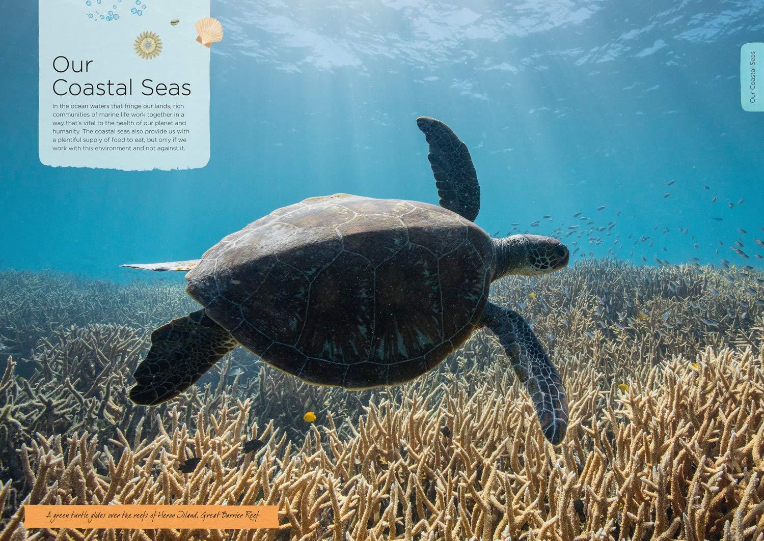 Our Planet - The One Place We All Call Home - Spectrawide Bookstore