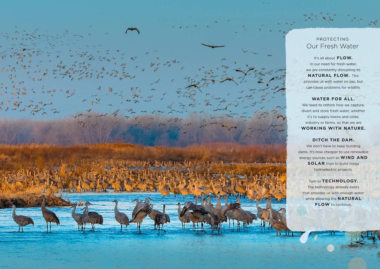 Our Planet - The One Place We All Call Home - Spectrawide Bookstore