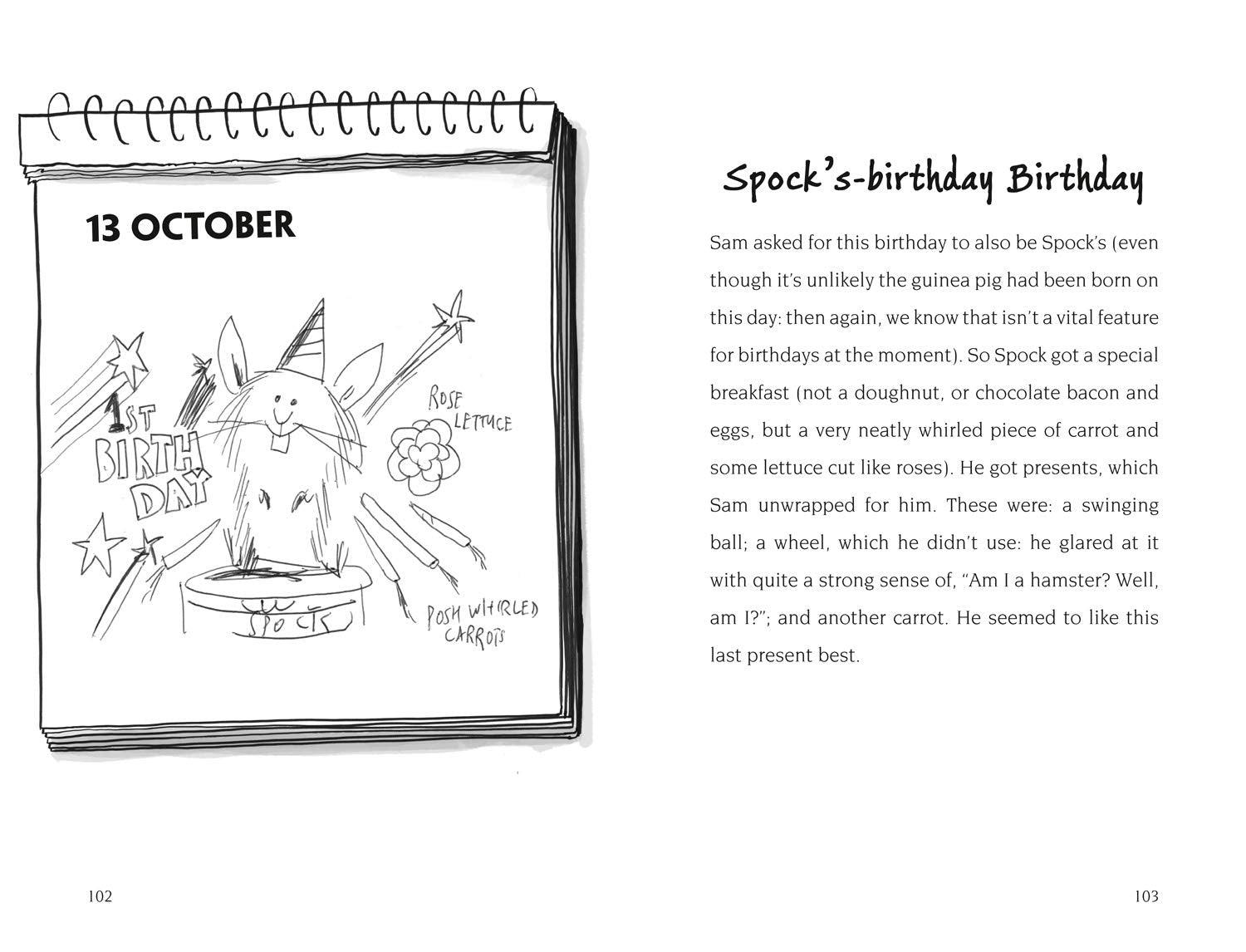 Birthday Boy - What if it was Every Day? - Spectrawide Bookstore