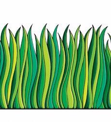 Tall Green Grass - Spectrawide Bookstore