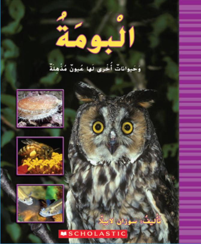 البوم والحيوانات الأخرى بعيون مذهلة - Owls & Other Animals With Amazing Eyes - Spectrawide Bookstore