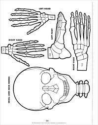 Scholastic The Body Book - Easy-to-make Hands-on Models that Teach Grade 3-6 - Spectrawide Bookstore