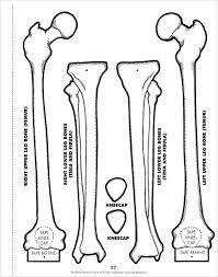 Scholastic The Body Book - Easy-to-make Hands-on Models that Teach Grade 3-6 - Spectrawide Bookstore