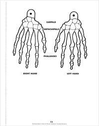 Scholastic The Body Book - Easy-to-make Hands-on Models that Teach Grade 3-6 - Spectrawide Bookstore
