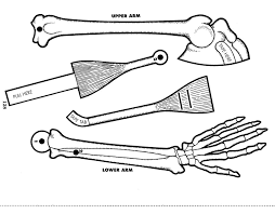 Scholastic The Body Book - Easy-to-make Hands-on Models that Teach Grade 3-6 - Spectrawide Bookstore