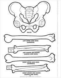Scholastic The Body Book - Easy-to-make Hands-on Models that Teach Grade 3-6 - Spectrawide Bookstore