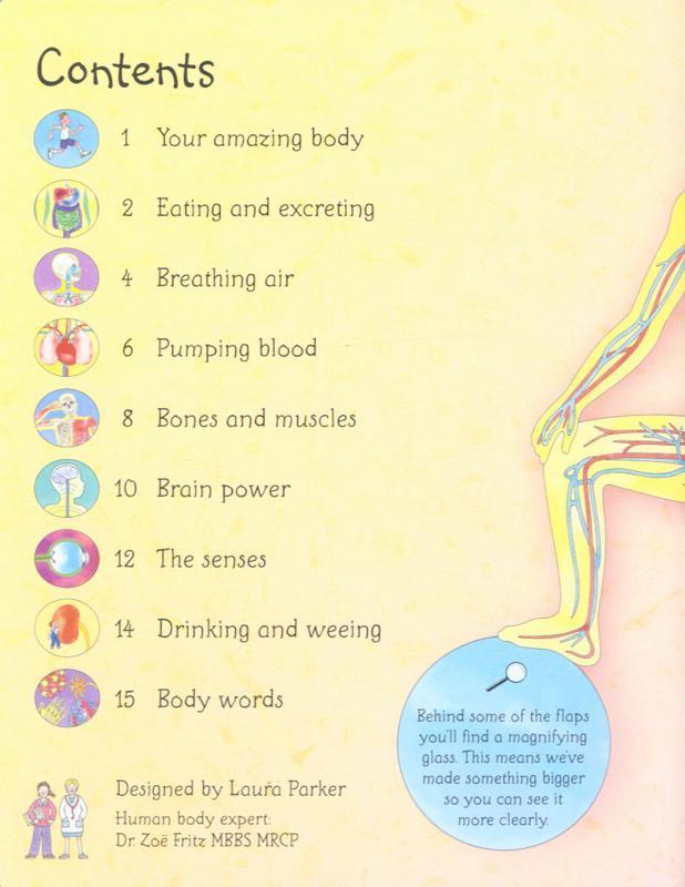 USBORNE - See Inside Your Body - Spectrawide Bookstore