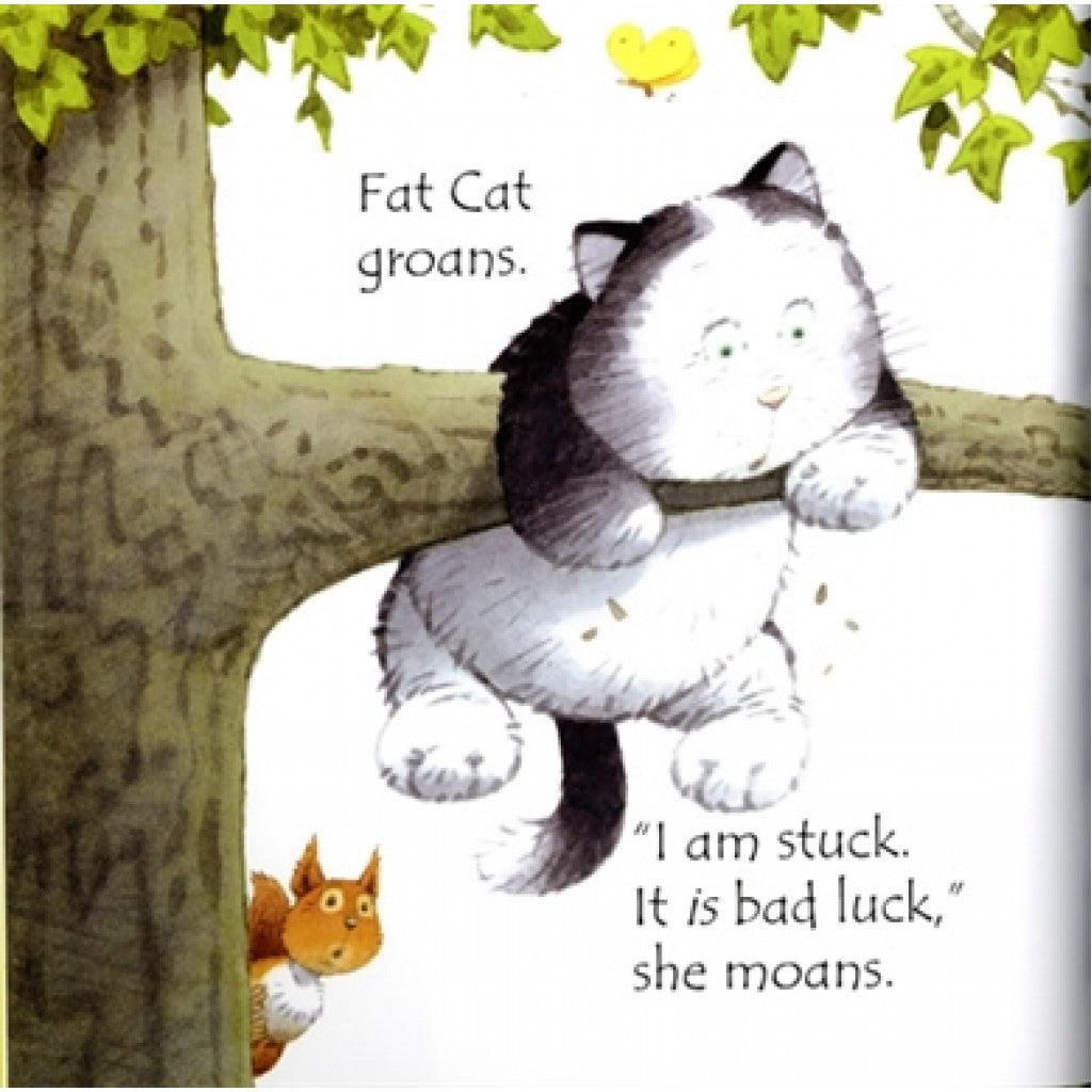 Usborne Phonics Readers - Fat Cat On A Mat - Spectrawide Bookstore