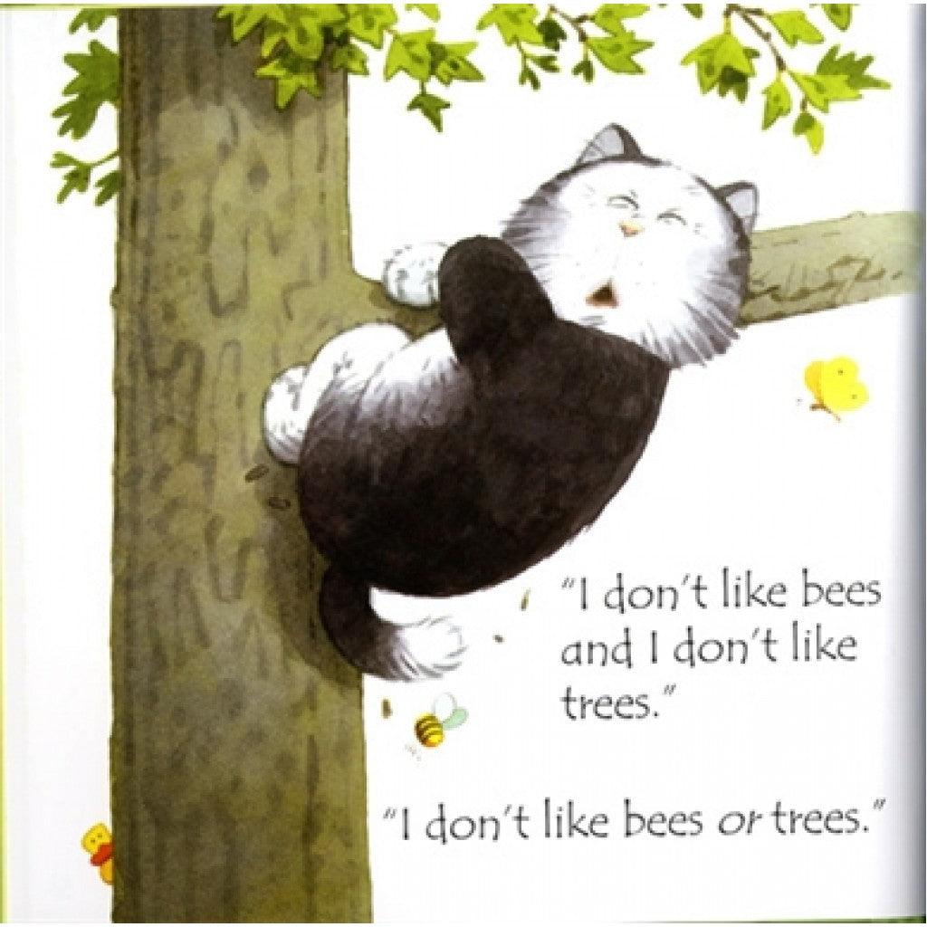 Usborne Phonics Readers - Fat Cat On A Mat - Spectrawide Bookstore