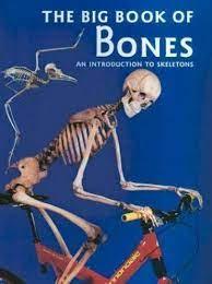 The Big Book of Bones - An Introduction to Skeletons - Spectrawide Bookstore