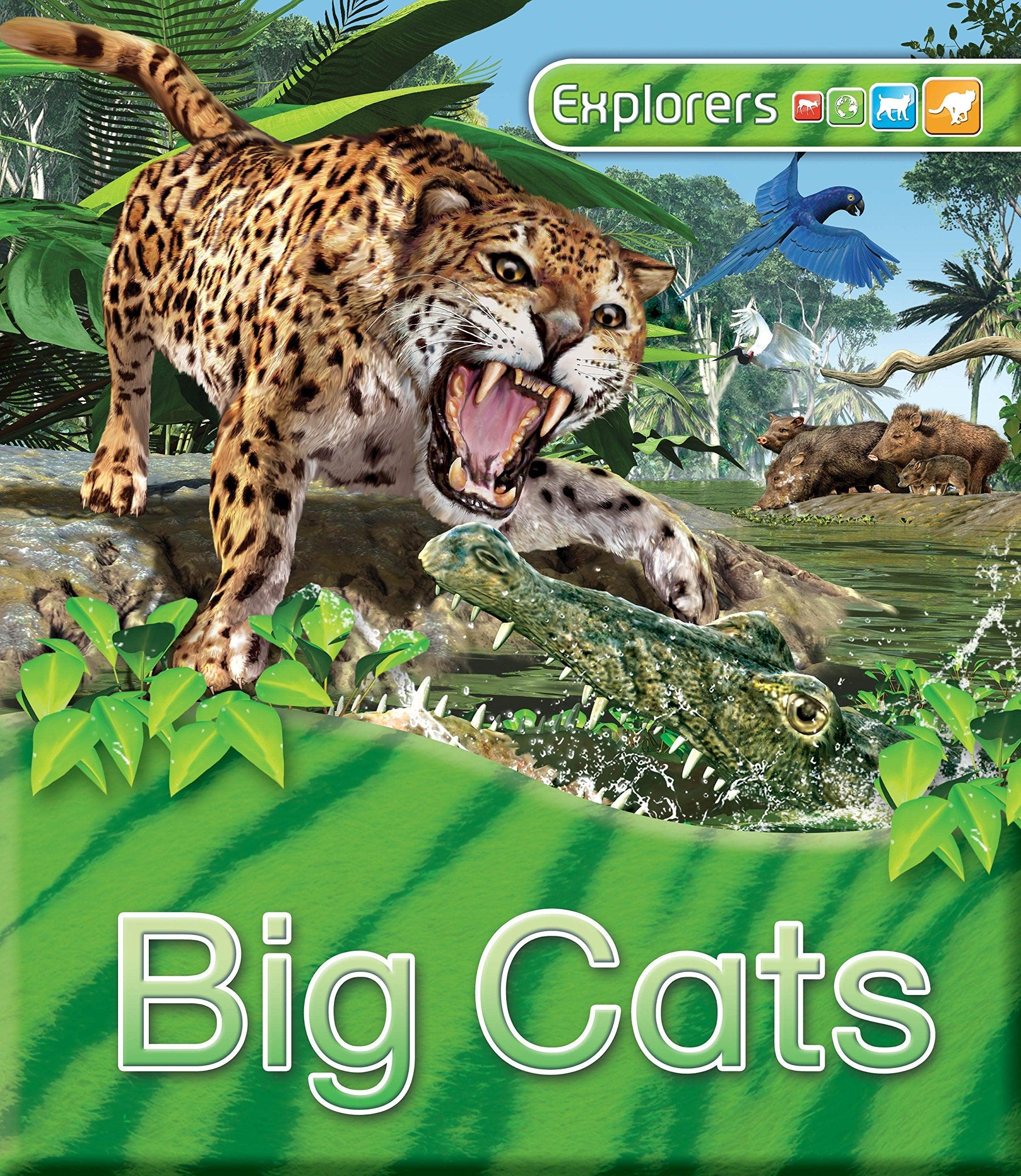 Explorers - Big Cats - Spectrawide Bookstore