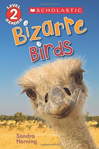 Scholastic - Bizarre Birds - Level 2 - Spectrawide Bookstore