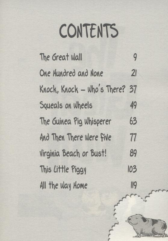 Stink And The Great Guinea Pig Express #4 - Spectrawide Bookstore