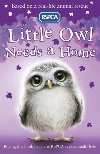 RSPCA Animal Rescue - Little Owl Needs a Home - Spectrawide Bookstore