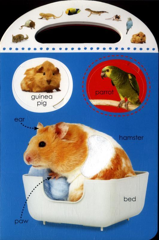 Touch and Lift First 100 Animals With 40 Flaps - Spectrawide Bookstore
