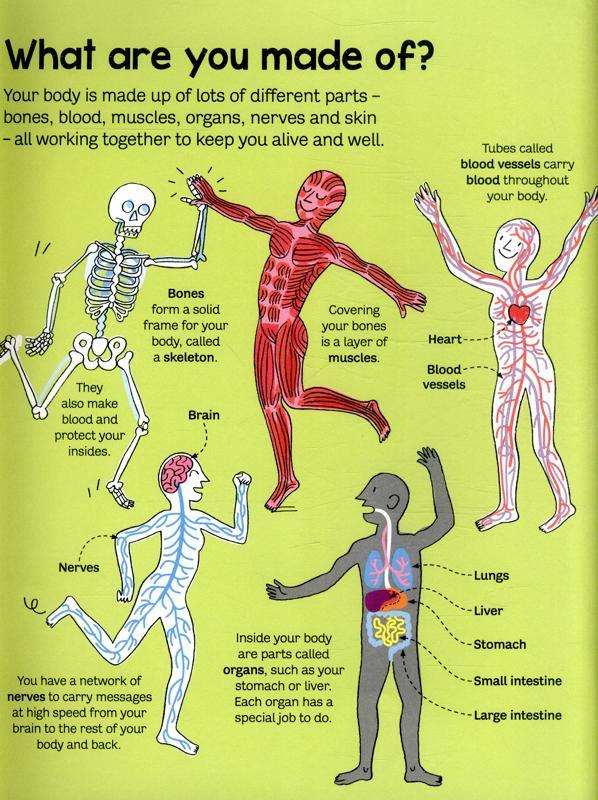 USBORNE - Big Book of the Body - Big Books - Spectrawide Bookstore