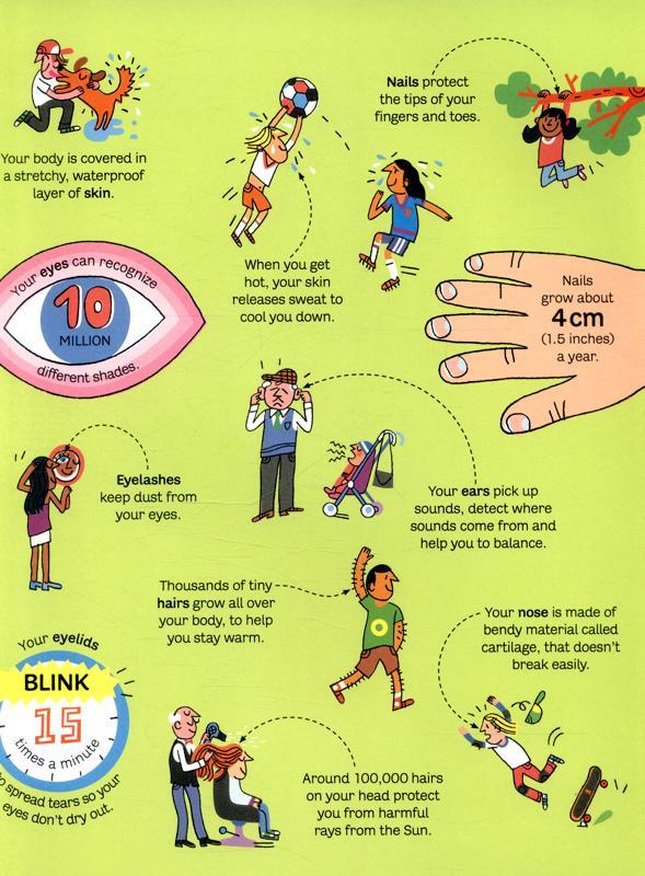 USBORNE - Big Book of the Body - Big Books - Spectrawide Bookstore