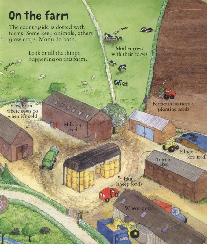 USBORNE - Look inside - A Farm - Spectrawide Bookstore