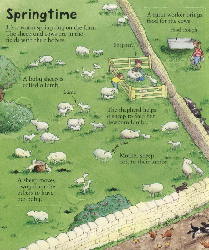 USBORNE - Look inside - A Farm - Spectrawide Bookstore