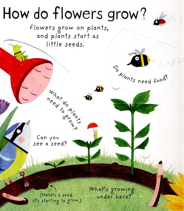 USBORNE - How do Flowers Grow? (Lift The Flap Questions and Answers) - Spectrawide Bookstore