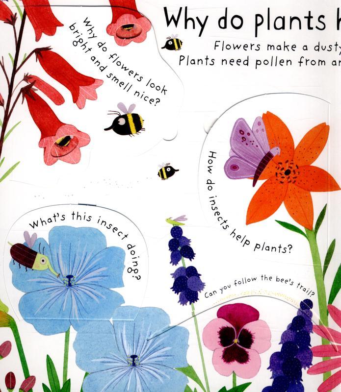 USBORNE - How do Flowers Grow? (Lift The Flap Questions and Answers) - Spectrawide Bookstore