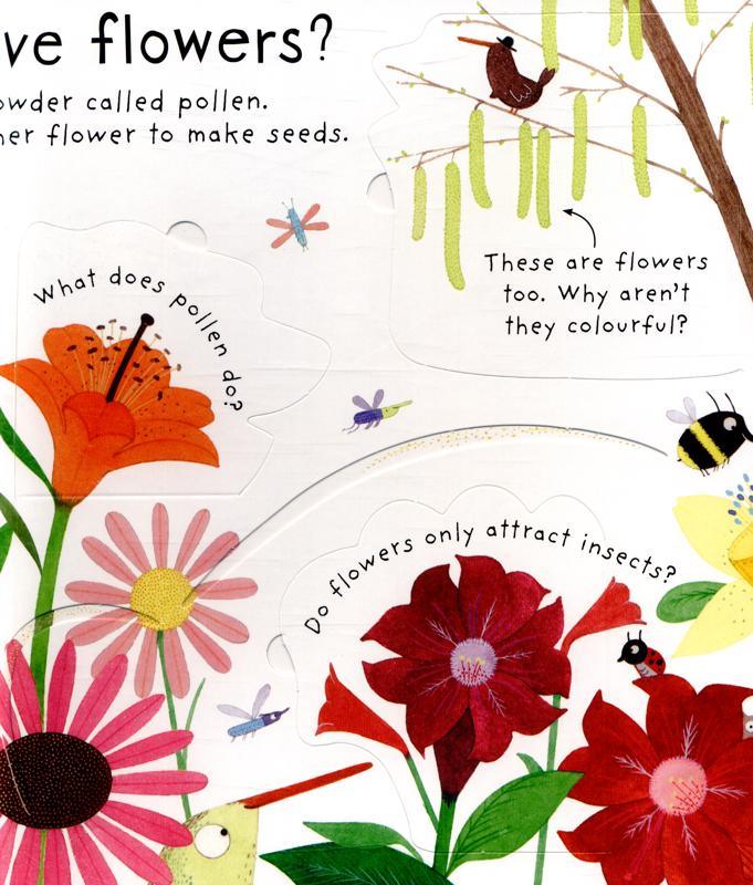 USBORNE - How do Flowers Grow? (Lift The Flap Questions and Answers) - Spectrawide Bookstore