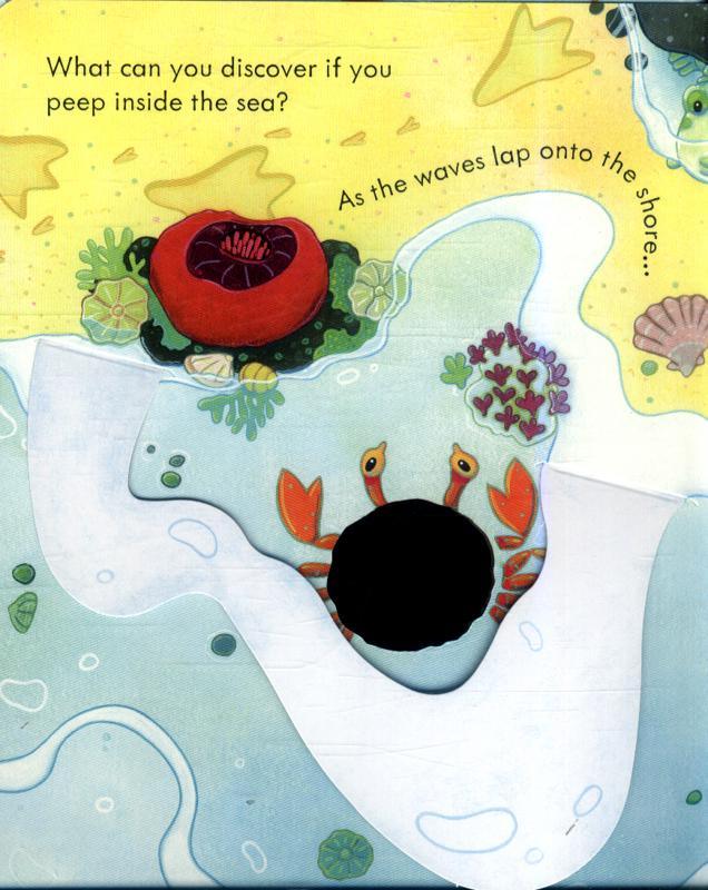USBORNE - Peep Inside - The Sea - Spectrawide Bookstore