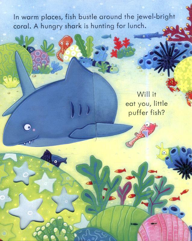 USBORNE - Peep Inside - The Sea - Spectrawide Bookstore