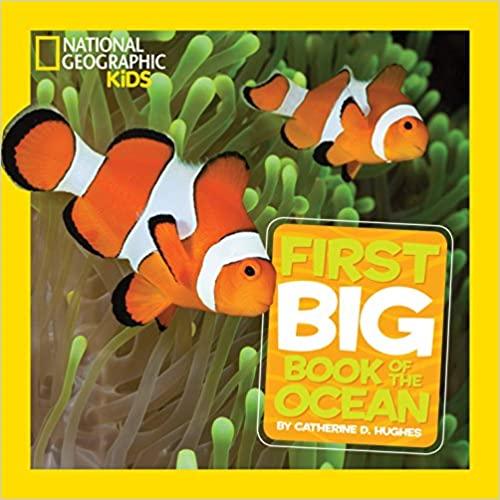 National Geographic Little Kids First Big Book of the Ocean - Spectrawide Bookstore