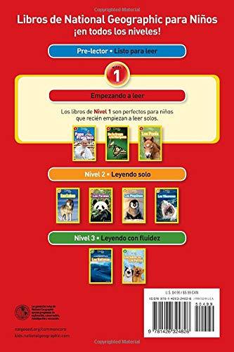 National Geographic Kids - Los Dinosaurios - Spectrawide Bookstore
